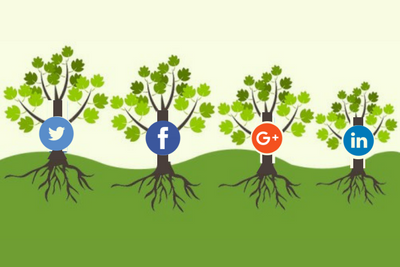 Benefits of Organic Social Media: Enhance your Brand